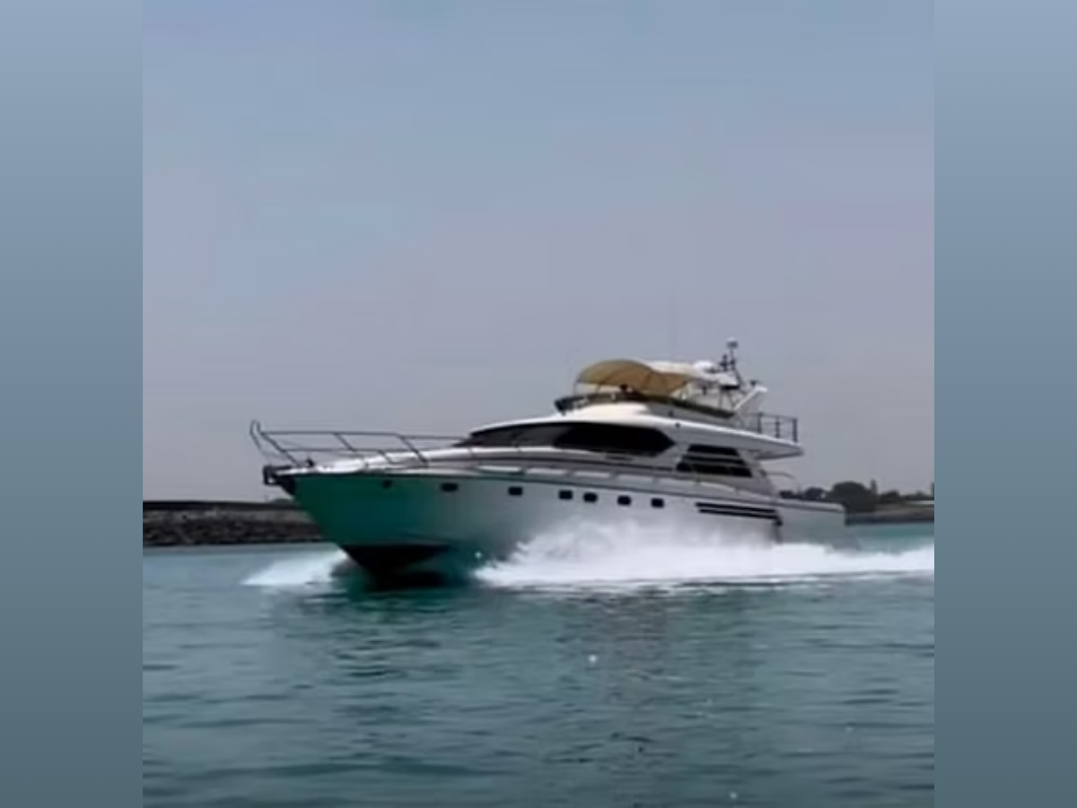 Luxx White 66